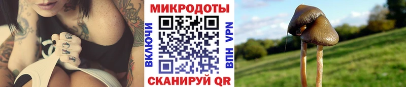 mega ссылки  Юрьевец  Галлюциногенные грибы мицелий 